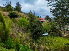  Haus zu verkaufen in Paute, Azuay, Chican Guillermo Ortega, Paute