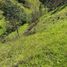  Land for sale in Imbabura, San Jose De Quichinche, Otavalo, Imbabura