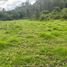  Land for sale in San Jose De Quichinche, Imbabura, San Jose De Quichinche, Otavalo