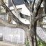 Villa 3 chambre à vendre à Benito Juarez, Mexico City, Benito Juarez