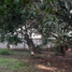 Terrain à vendre à Veracruz, Veracruz, Veracruz, Veracruz