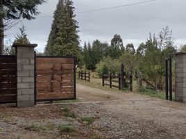  Terreno (Parcela) en venta en Chile, Mariquina, Valdivia, Los Ríos, Chile