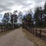  Terreno (Parcela) en venta en Chile, Mariquina, Valdivia, Los Ríos, Chile