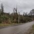  Terreno (Parcela) en venta en Chile, Valdivia, Valdivia, Los Ríos, Chile