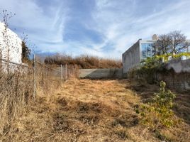  Land for sale in Miacatlan, Morelos, Miacatlan