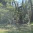  Land for sale in Cautin, Araucania, Loncoche, Cautin