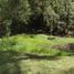  Land for sale in Cautin, Araucania, Loncoche, Cautin