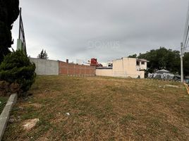 Land for sale in San Agustin Tlaxiaca, Hidalgo, San Agustin Tlaxiaca