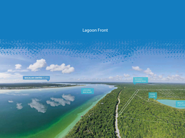  Land for sale in Othon P Blanco, Quintana Roo, Othon P Blanco