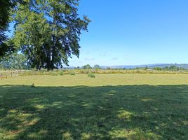 Terreno (Parcela) en venta en Los Ríos, Mafil, Valdivia, Los Ríos