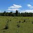  Terreno (Parcela) en venta en Los Ríos, Mafil, Valdivia, Los Ríos