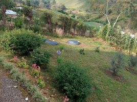 3 Habitación Villa en venta en Fusagasuga, Cundinamarca, Fusagasuga