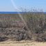  Land for sale in Dist Juquila, Oaxaca, Dist Juquila