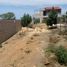  Land for sale in Berriozabal, Chiapas, Berriozabal