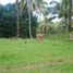  Land for sale in Puerto Princesa City, Mimaropa, Puerto Princesa City, Palawan, Mimaropa