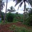  Land for sale in Puerto Princesa City, Mimaropa, Puerto Princesa City, Palawan, Mimaropa