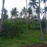  Land for sale in Puerto Princesa City, Mimaropa, Puerto Princesa City, Palawan, Mimaropa