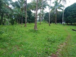  Land for sale in Puerto Princesa City, Mimaropa, Puerto Princesa City, Palawan, Mimaropa
