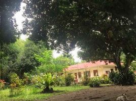 4 Bedroom House for sale in Negros Oriental, Negros Island Region, Dumaguete City, Negros Oriental