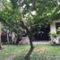 4 chambre Maison for sale in Negros Oriental, Negros Island Region, Dumaguete City, Negros Oriental