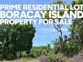  Land for sale in Aklan, Western Visayas, Malay, Aklan