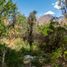  Land for sale in Chile, Rio Hurtado, Limari, Coquimbo, Chile