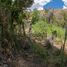  Land for sale in Chile, Rio Hurtado, Limari, Coquimbo, Chile