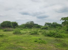  Terrain for sale in Équateur, Guayaquil, Guayaquil, Guayas, Équateur