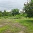  Land for sale in Guayas, Guayaquil, Guayaquil, Guayas