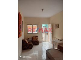 1 Bedroom Condo for rent in Peru, Sullana, Sullana, Piura, Peru