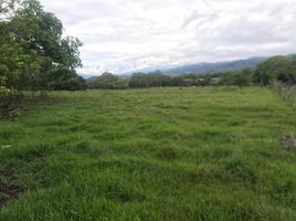  Terreno (Parcela) en venta en Tolima, Ibague, Tolima