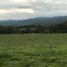  Land for sale in Tolima, Ibague, Tolima