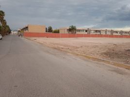  Terreno (Parcela) en venta en San Luis Potosi, San Luis Potosí, San Luis Potosi, San Luis Potosí