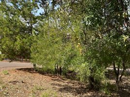  Land for sale in Morelia, Michoacan, Morelia