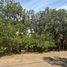  Land for sale in Morelia, Michoacan, Morelia