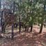  Land for sale in Morelia, Michoacan, Morelia