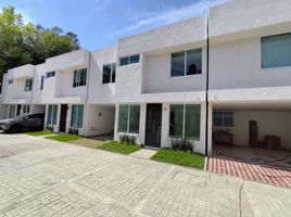 3 Habitación Casa en alquiler en Coyoacan, Ciudad de México, Coyoacan