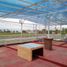 2 Schlafzimmer Villa zu verkaufen in Coyuca De Benitez, Guerrero, Coyuca De Benitez