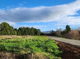  Terreno (Parcela) en venta en Los Ríos, Mariquina, Valdivia, Los Ríos