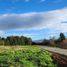  Terreno (Parcela) en venta en Los Ríos, Mariquina, Valdivia, Los Ríos