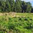  Terreno (Parcela) en venta en Los Ríos, Mariquina, Valdivia, Los Ríos