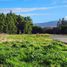  Terreno (Parcela) en venta en Los Ríos, Mariquina, Valdivia, Los Ríos