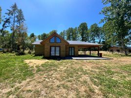3 chambre Maison for rent in Araucania, Pitrufquen, Cautin, Araucania