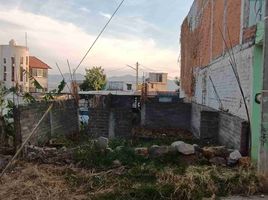  Terrain for sale in Morelia, Michoacan, Morelia