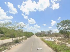  Grundstück zu verkaufen in Conkal, Yucatan, Conkal