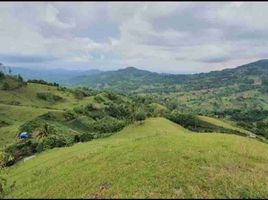  Terreno (Parcela) en venta en Cebu City, Central Visayas, Cebu City, Cebu, Central Visayas