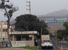 2 Bedroom Condo for rent in Lima Lima, La Molina