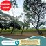  Terreno (Parcela) en venta en Calamba City, Calabarzon, Calamba City, Laguna, Calabarzon, Filipinas