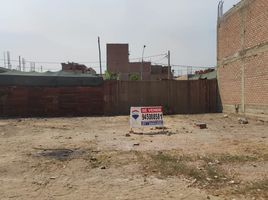  Grundstück zu verkaufen in Carabayllo, Lima, Carabayllo, Lima, Lima, Peru