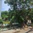  Terreno (Parcela) en venta en Cebu City, Central Visayas, Cebu City, Cebu, Central Visayas, Filipinas